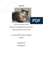 Lost Cat