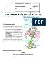 GUIA 10 LA REPRODUCCIÓN EN PLANTAS