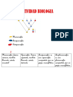 Actividad Biologia Los Procedimientos y Herramientas de La Cladistica