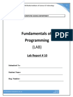 Fundamentals of Programming: Lab Report # 10