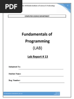 Fundamentals of Programming: Lab Report # 13