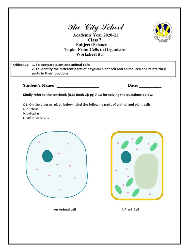 Science Class 7 Week 2 Worksheet 3 Pdf Pdf Eukaryotes Cell Biology