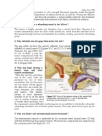 197 Vagus Nerve