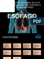 Esofago