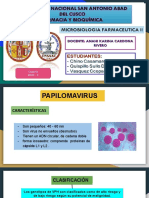 Papiloma y Polioma