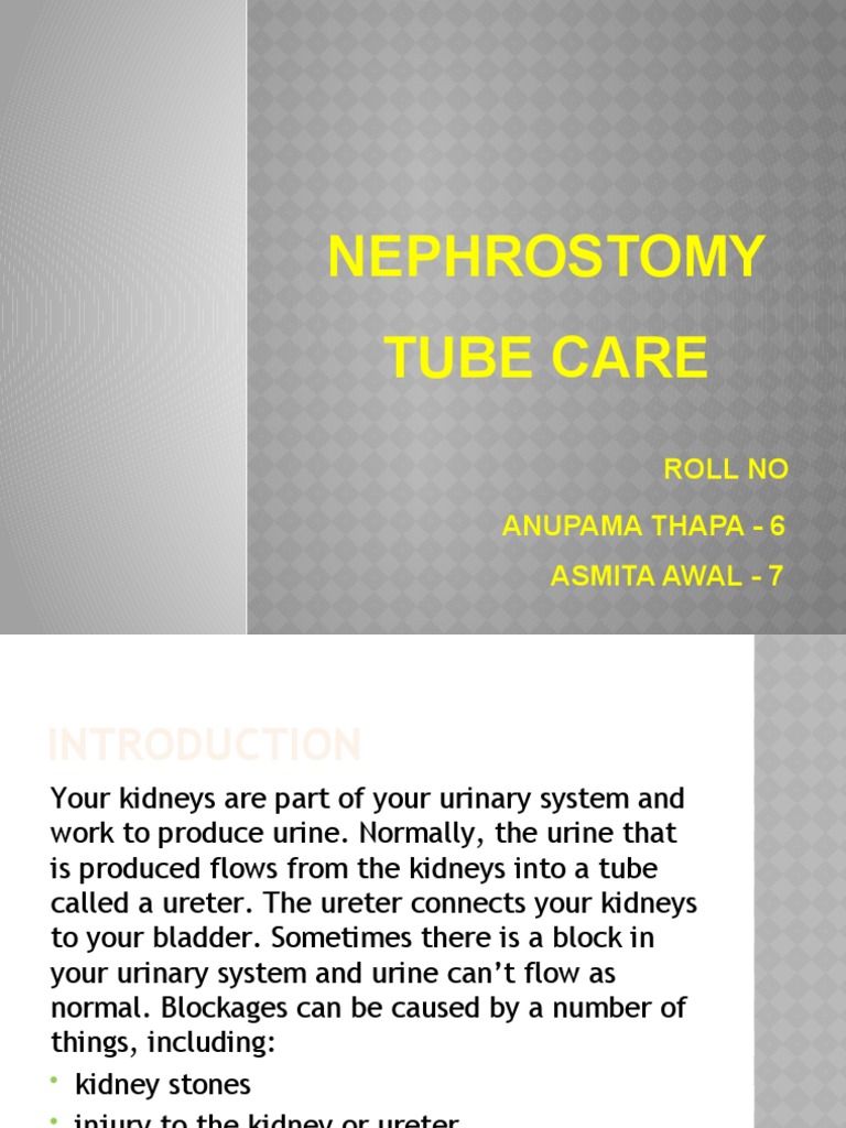 Nephrostomy Tube Care PDF Kidney Urinary System