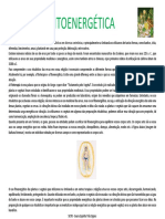 Os chakras e sua relação com a fitoenergética na Umbanda