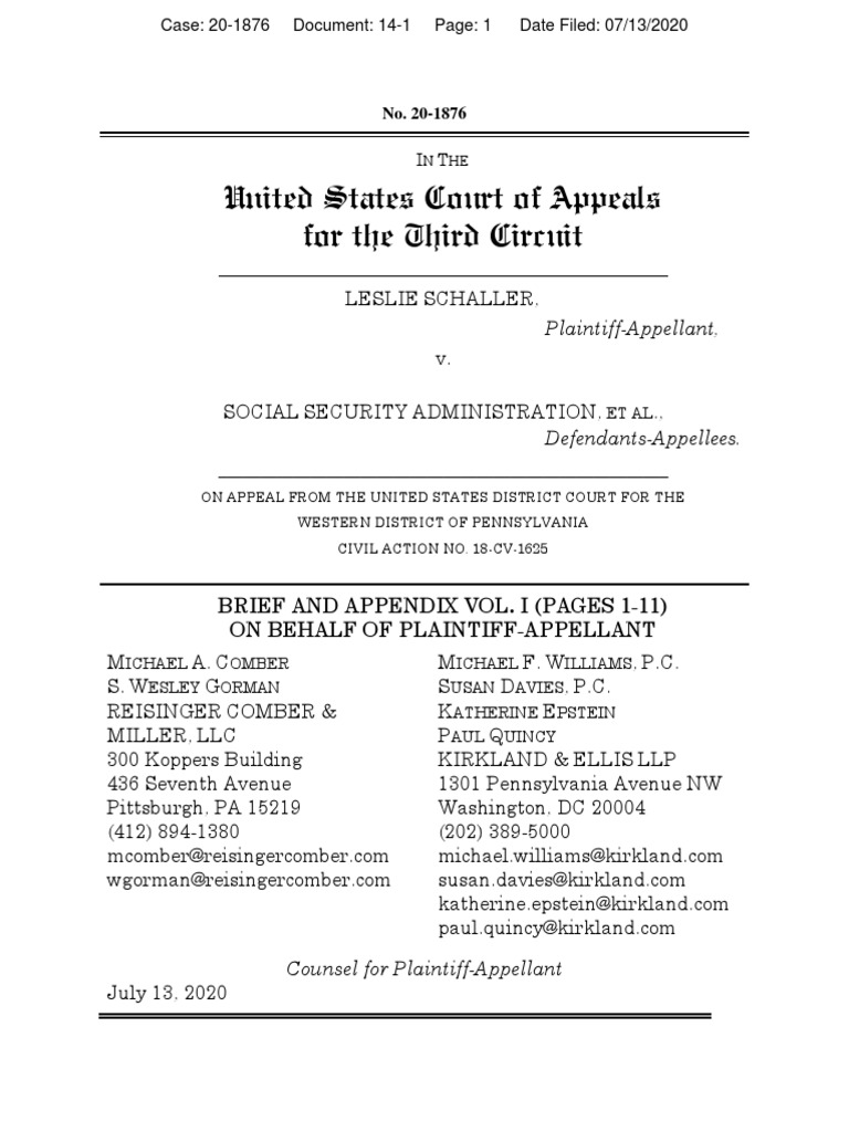 Third Circuit Brief Requirements