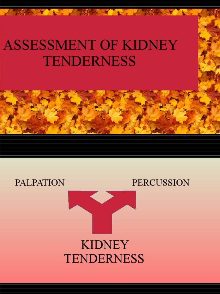 Kidney Tenderness PDF Kidney Thrombosis