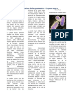 Articulo de Opinion Asdrubal Piñero 1erob