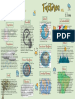 Infografía Ecosistema - Lizzie Sandoval