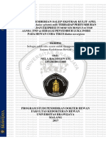 Alpha (Tnf-Α) Sebagai Penyembuh Luka Insisi: Sebagai salah satu syarat untuk memperoleh gelar Sarjana Kedokteran Hewan
