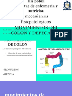 Movimientos del colon y defecación