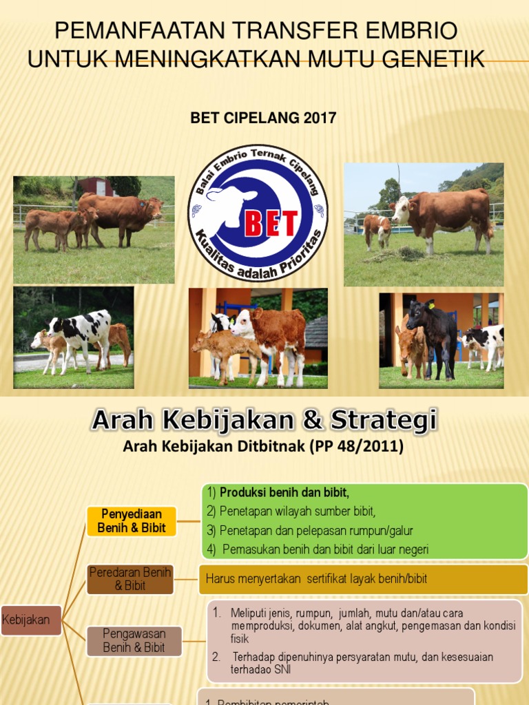 Peningkatan Mutu Genetik Sapi Melalui TE | PDF | Sains & Matematika ...