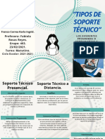 "Tipos de Soporte Técnico": Colegio de Estudios Científicos y Tecnológicos Del Estado de México