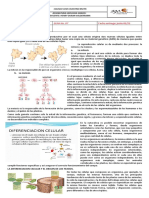 Guia 07 Biol 63