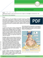 Neurofisiologa Del Aprendizaje y La Memoria Plasticidad Neuronal