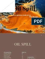 Environment Issue-Oil Spill