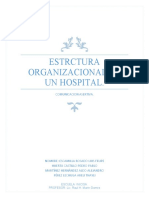 Estrctura Organizacional de Un Hospital