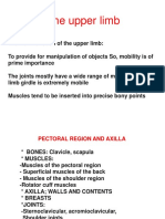 Upper Limb 1