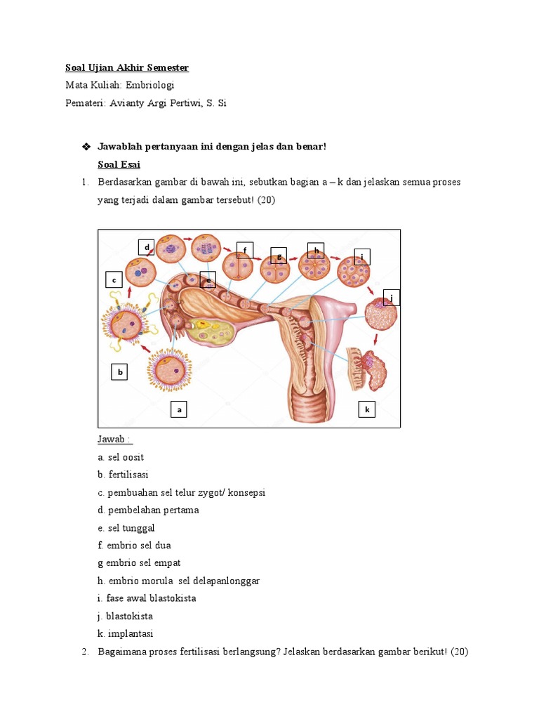 Bolaklarni külotlarsiz bajaring