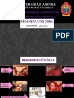 REGENERACION OSEA GRUPO 5