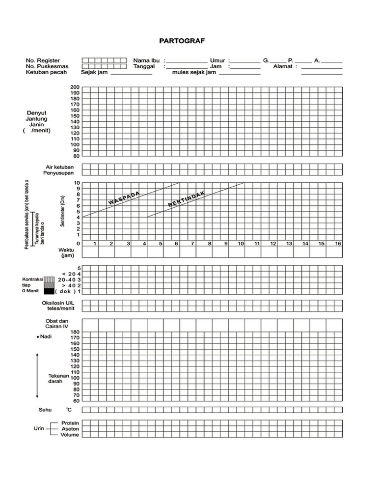 Catatan Persalinan dan Partograf Maternitas | PDF