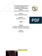 Resumen La Bioquímica y Funciones (Linfa y Liquido Cefalorraquideo) .