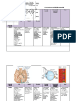 T1 Introducere in Psihologie ElenaFilipescu