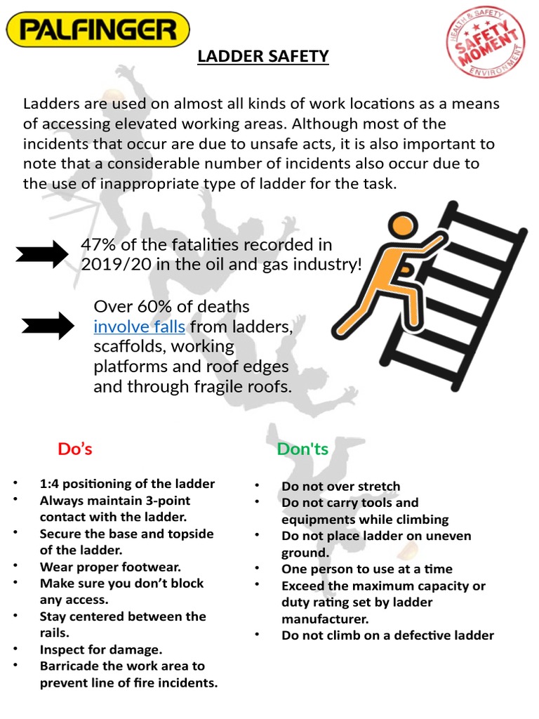 Ladder Safety Do's and Don'ts Guide | PDF