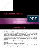 KATABOLISME