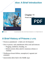 Criminal Justice: A Brief Introduction: Thirteenth Edition