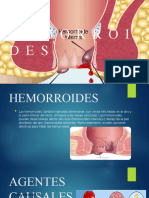 HEMORROIDES