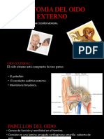 Anatomia Del Oido Externo