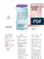 Leaflet - Penyuluhan Jiwa - Syamsul Ma'ariif-Dikonversi