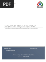 Présentation de La RADEEF | PDF | la communication