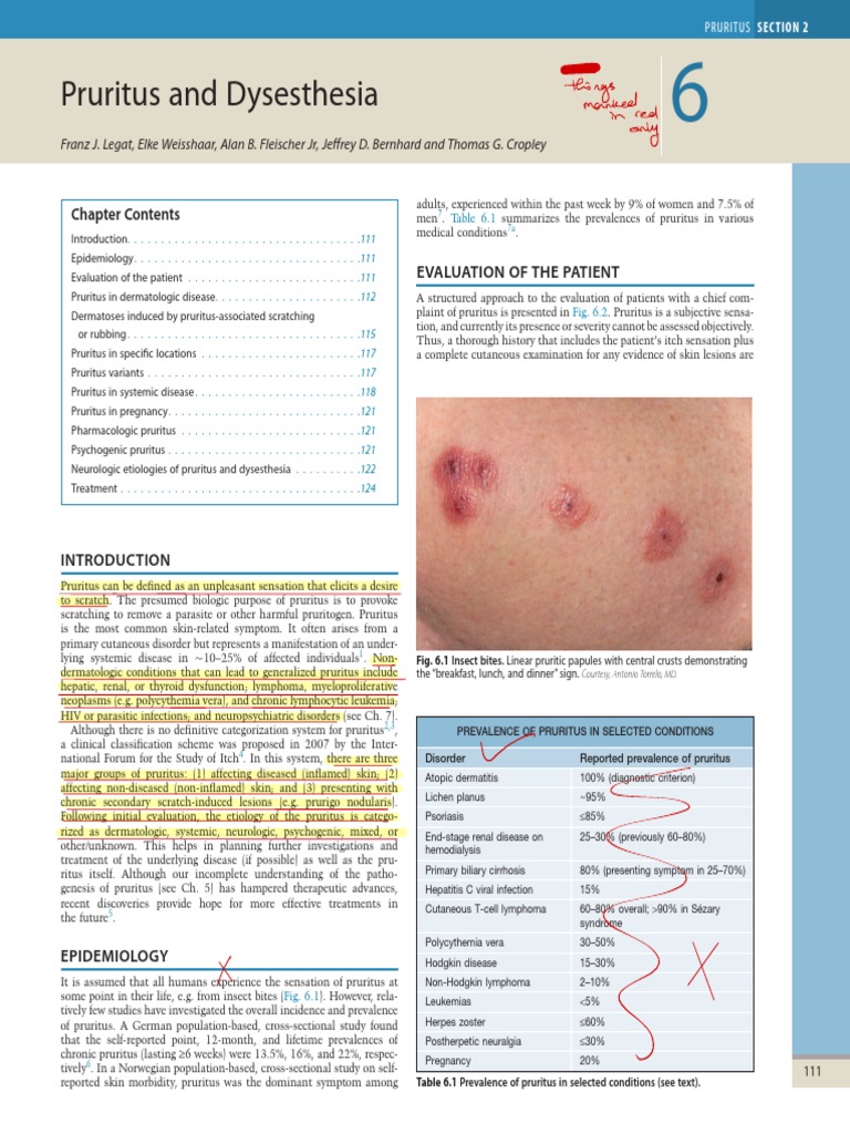 Thibaud Pruritus and Dysesthesia PDF Dermatitis Dermatology