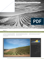 Dodging and Burning With Graduated Filters and The Adjustment Brush