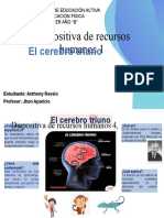 Cerebro triuno