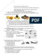 Soal Usbn Biologi 2019 No Jawaban