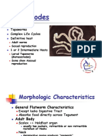 Cestodes: Tapeworms Complex Life Cycles Definitive Host