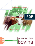 23.-Reproduccion Bovina