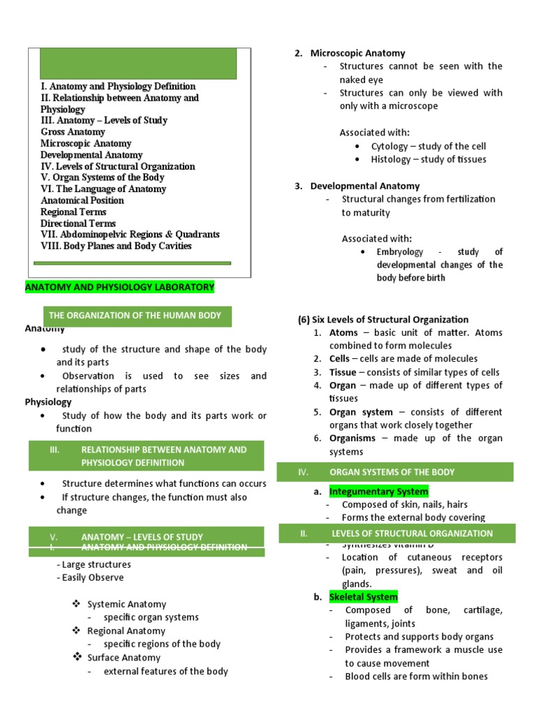 Anatomy and Physiology | PDF | Human Body | Anatomical Terms Of Location