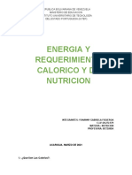 Energia y Requerimiento Calorico y de Nutricion
