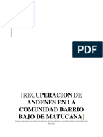 Informe Barrio Bajo de Matucana