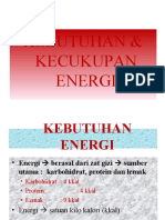 Kebutuhan energi