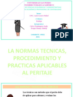 Normas Tecnicas Del Peritaje