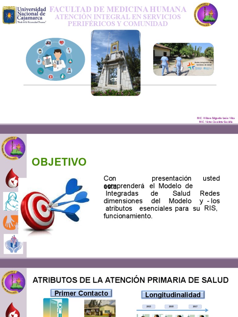 Redes Integradas de Salud | PDF | Cuidado de salud del gobierno | Business