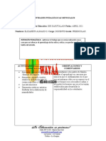 Actividades Pedagogicas Mensuales 1