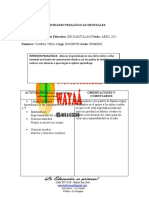 Actividades Pedagogicas Mensuales 2